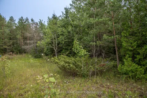 Lot 256 McGuire Beach Road, ON K0M 2B0