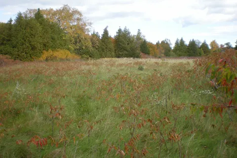 County Road 10, Lot 2 N/A, ON K0K 2T0