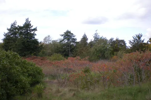 County Road 10, Lot 2 N/A, ON K0K 2T0