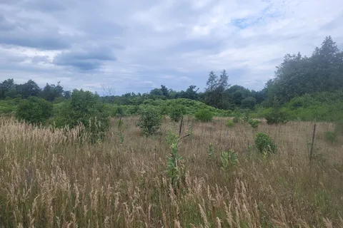 County Road 10, Lot 2 N/A, ON K0K 2T0