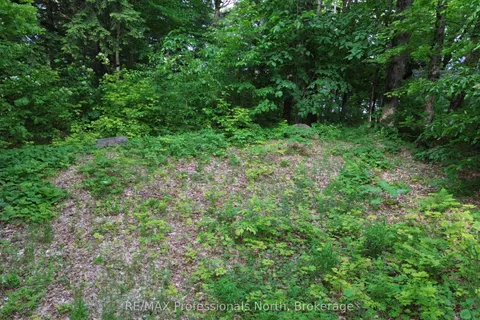 1012 Betula Crescent, ON K0L 1M1