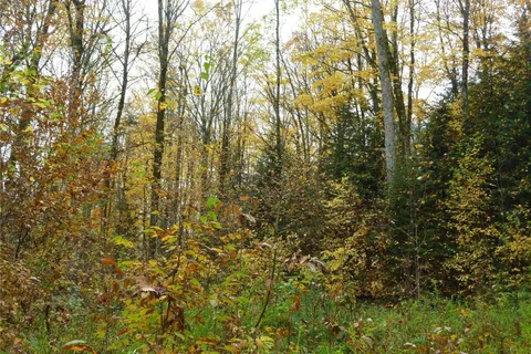 Pt Lt 8 Con7 Hwy 503 N/A, ON K0L 2Y0