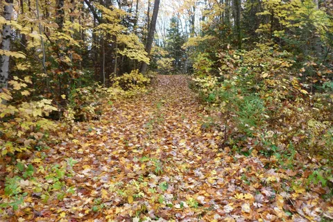 Pt Lt 8 Con7 Hwy 503 N/A, ON K0L 2Y0