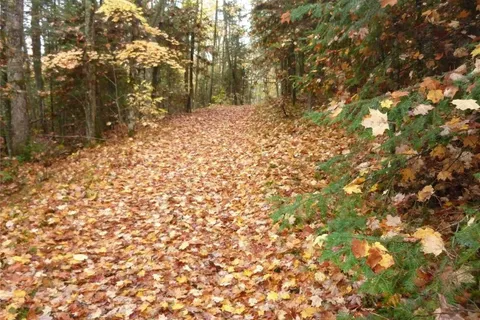 Pt Lt 8 Con7 Hwy 503 N/A, ON K0L 2Y0