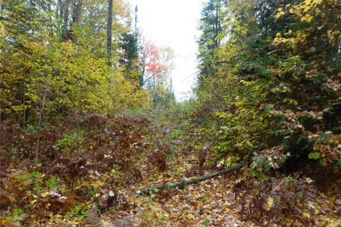 Pt Lt 8 Con7 Hwy 503 N/A, ON K0L 2Y0