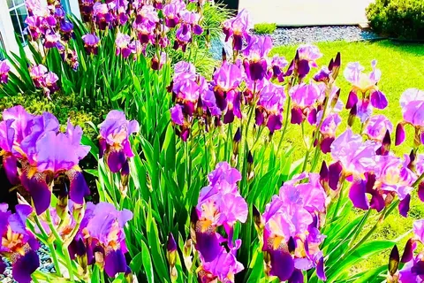 2570 Skinner Street, ON N9H 2R6