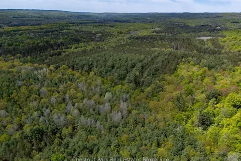 PT 2 LT 24 4th Line, ON L9V 0J6