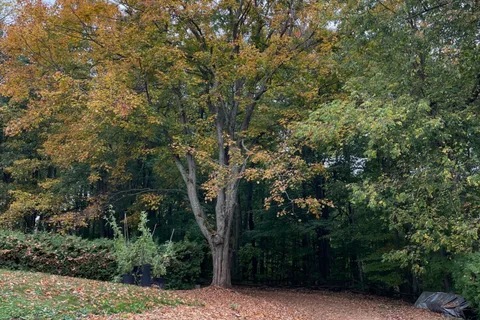 875122 5th Line, ON L9W 6A9