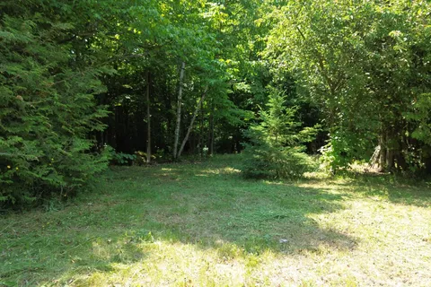 31 Isthmus Bay Road, ON N0H 1W0