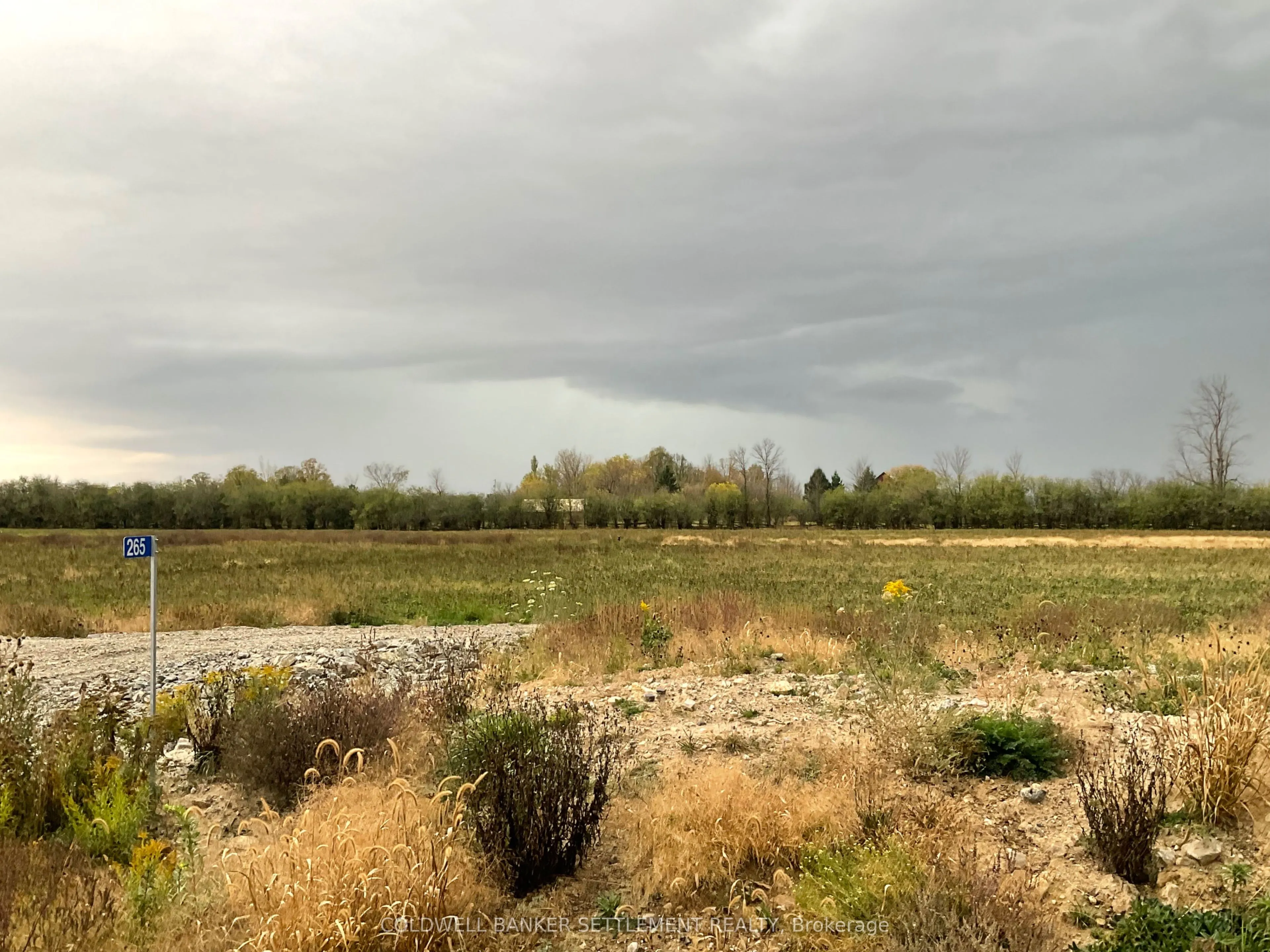 265 Archie Crain Drive, ON K7H 3C3