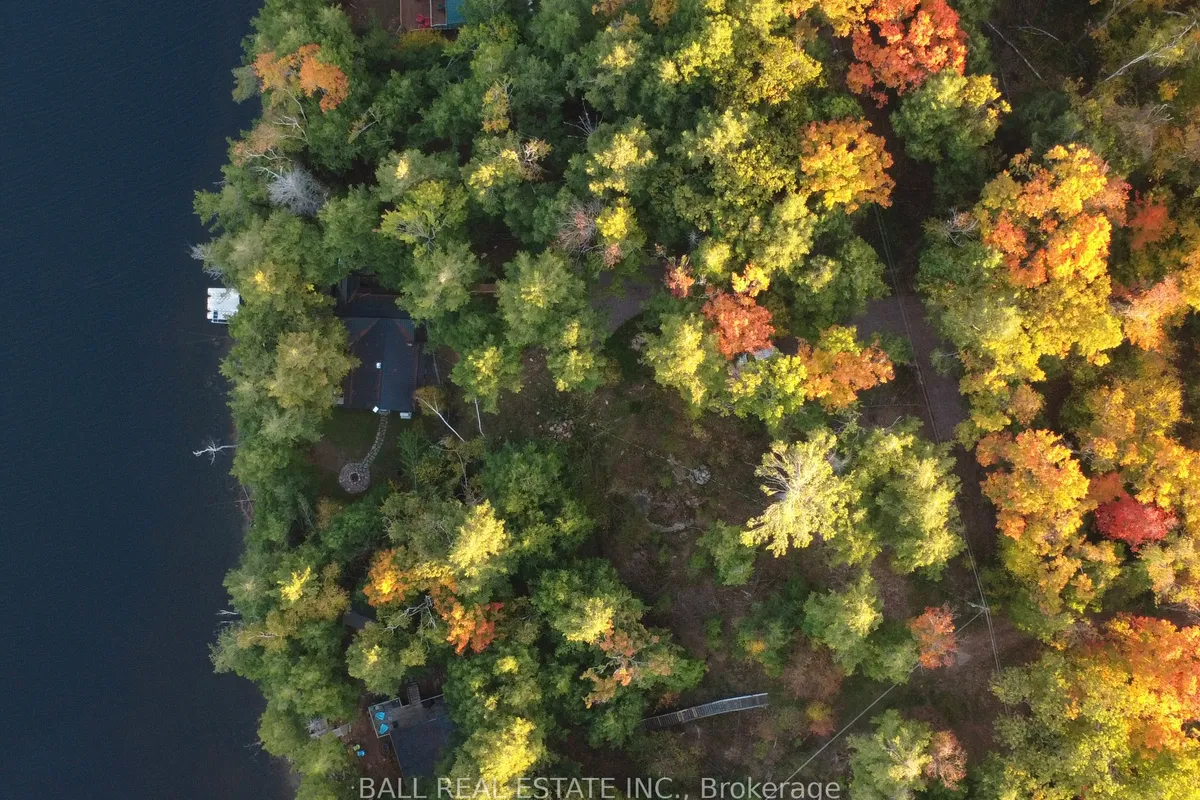 133 Fire Route 214 N/A, ON K0L 1J0