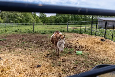 525197 Artemesia Euphrasia Townline, ON N0C 1H0