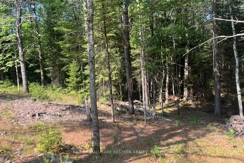 942 Balmer Road, ON K0L 1A0