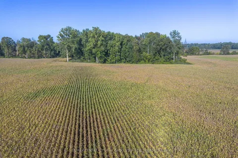 29182 Zone 4 Road, ON N0P 2K0