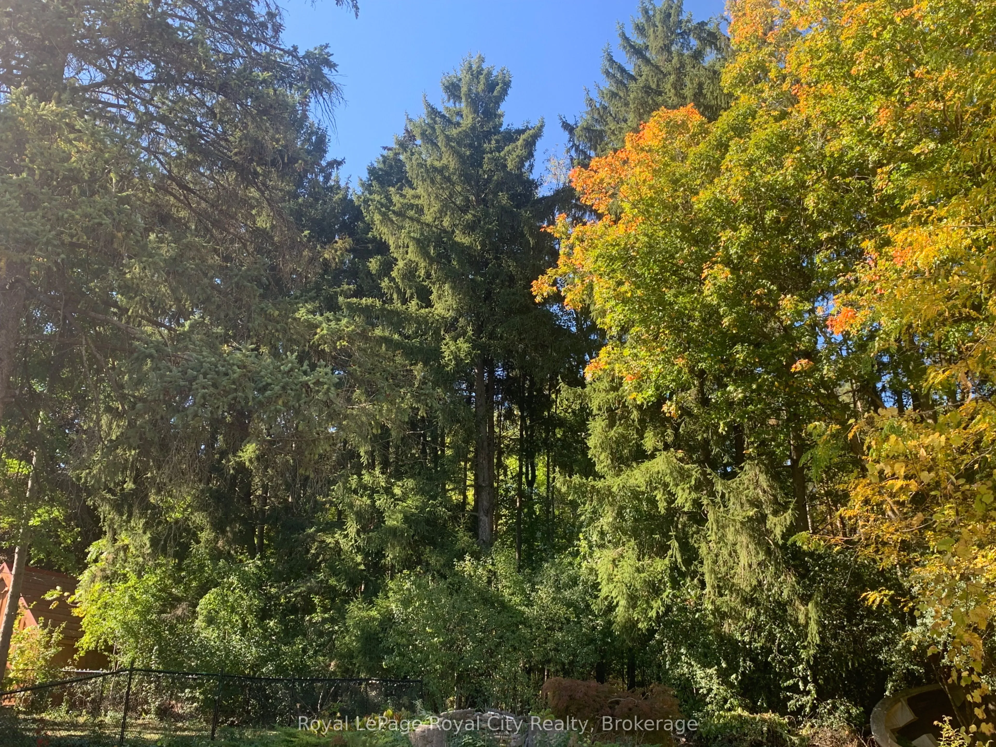 7244 Wellington Road 124 Road, ON N1H 6J3