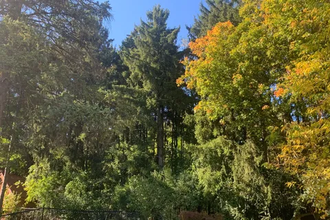 7244 Wellington Road 124 Road, ON N1H 6J3