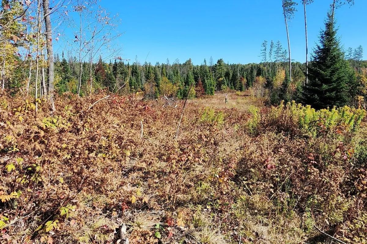 00 Red Pine Trail, ON P0B 1L0