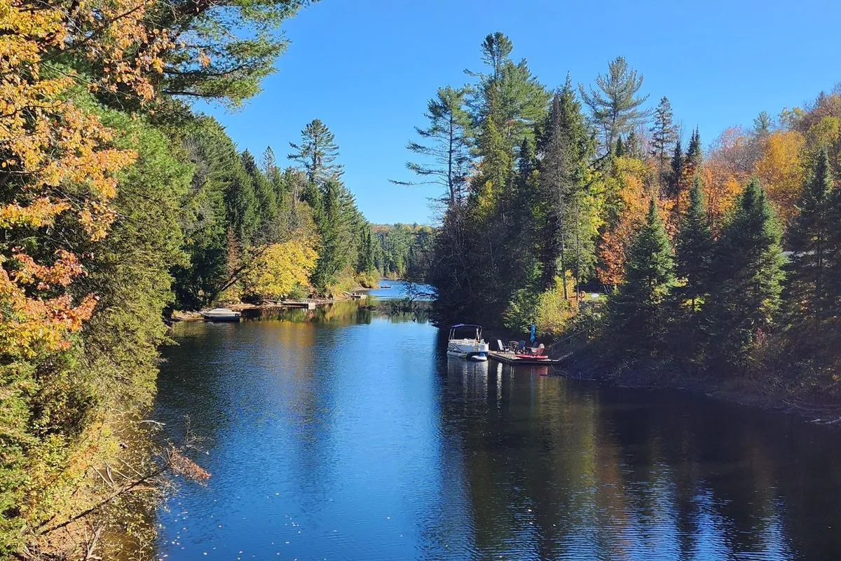 00 Red Pine Trail, ON P0B 1L0