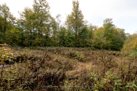 N/A Skyline Drive, ON P0A 1C0