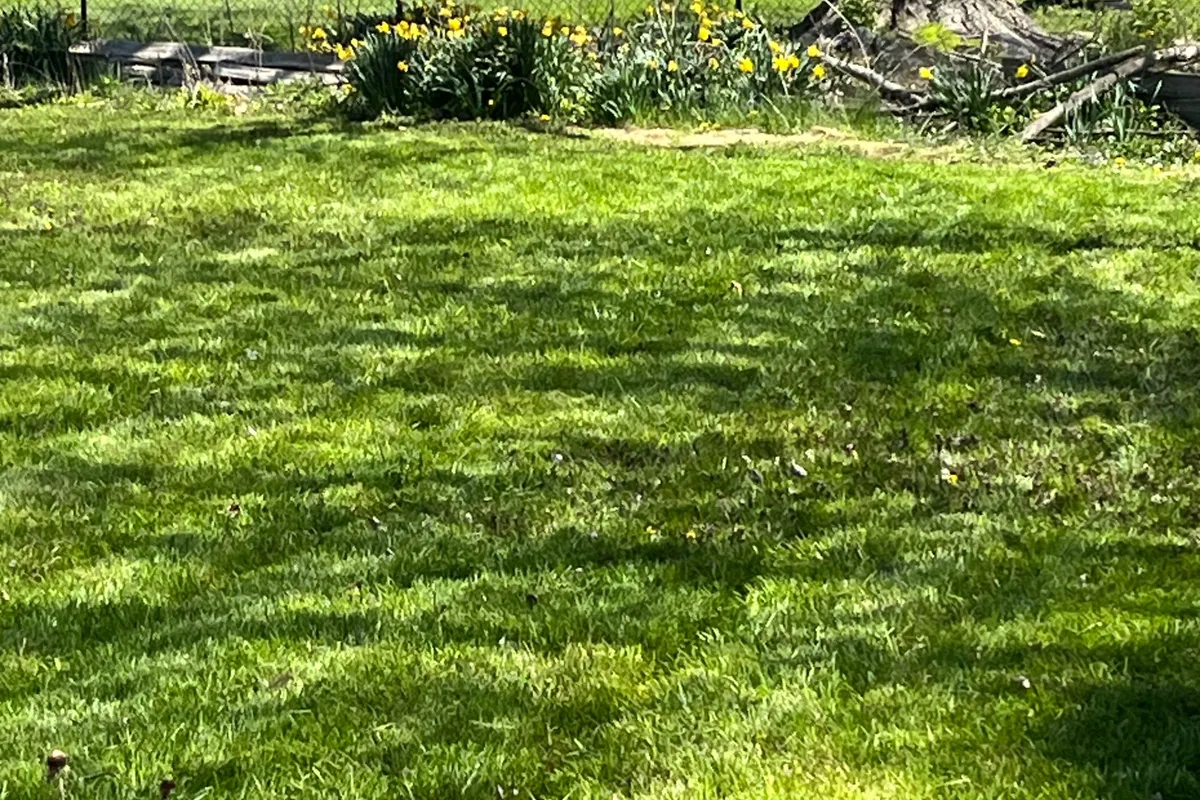 335 Robson Road, ON N8H 0A4