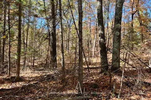 0 Foymount Road, ON K0J 1T0