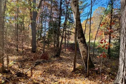 0 Foymount Road, ON K0J 1T0