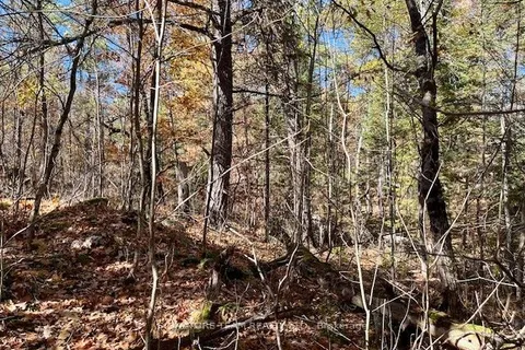 0 Foymount Road, ON K0J 1T0