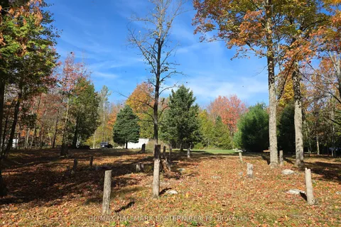 344 Swinburne Lane, ON K0K 2M0