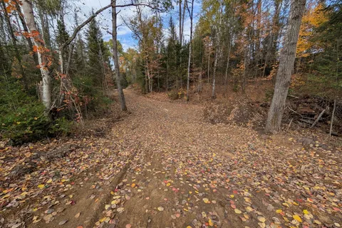 0 Forest Lake Road, ON P0A 1X0