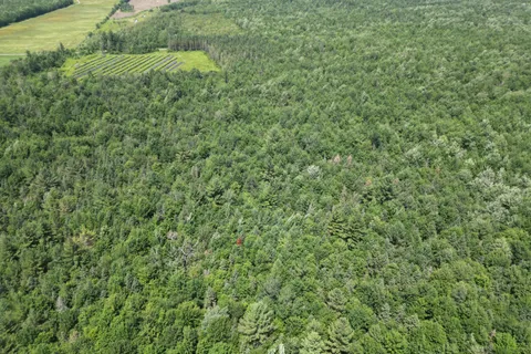 00 Concession 4 Road, ON K0B 1L0