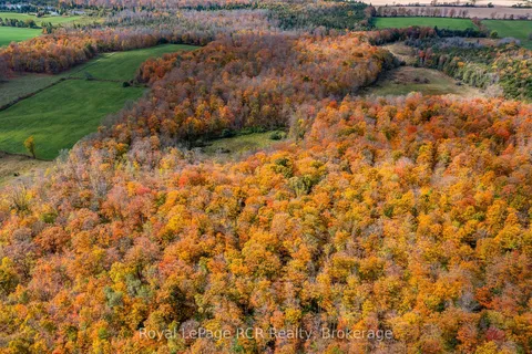 00 9th Line N/A, ON N0C 1H0