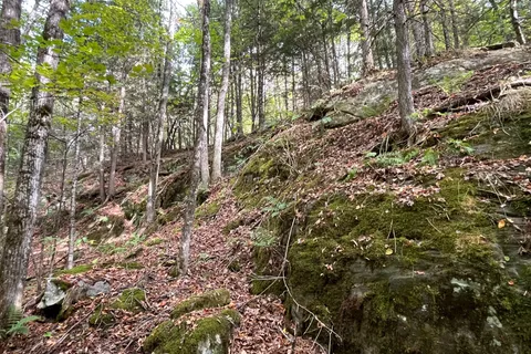 4488 Kawagama Lake Road, ON P0A 1E0