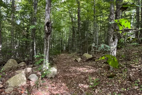 4488 Kawagama Lake Road, ON P0A 1E0