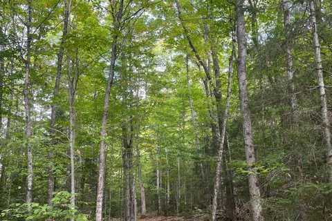 4488 Kawagama Lake Road, ON P0A 1E0