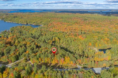 3864 Highway 118 N/A, ON P0B 1J0