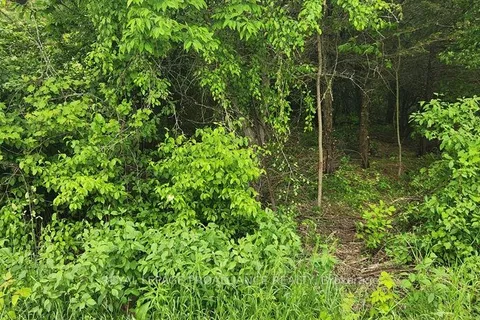 0 Scriver Road, ON K0K 1H0