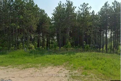 637519 Prince Of Wales Road, ON L0N 1J0