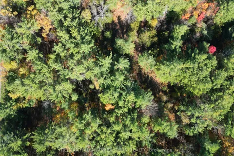 N/A Evegroen Road, ON K0K 2M0