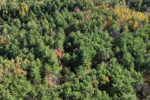 N/A Evegroen Road, ON K0K 2M0