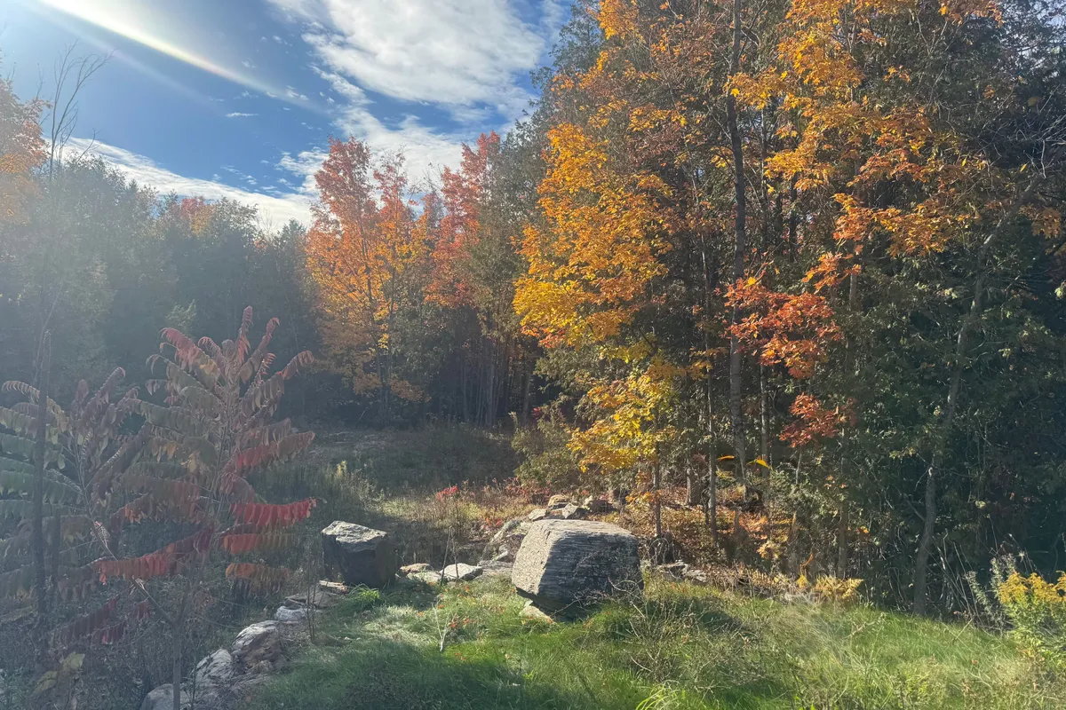 Lot 2 Vansickle Road, ON K0L 1C0