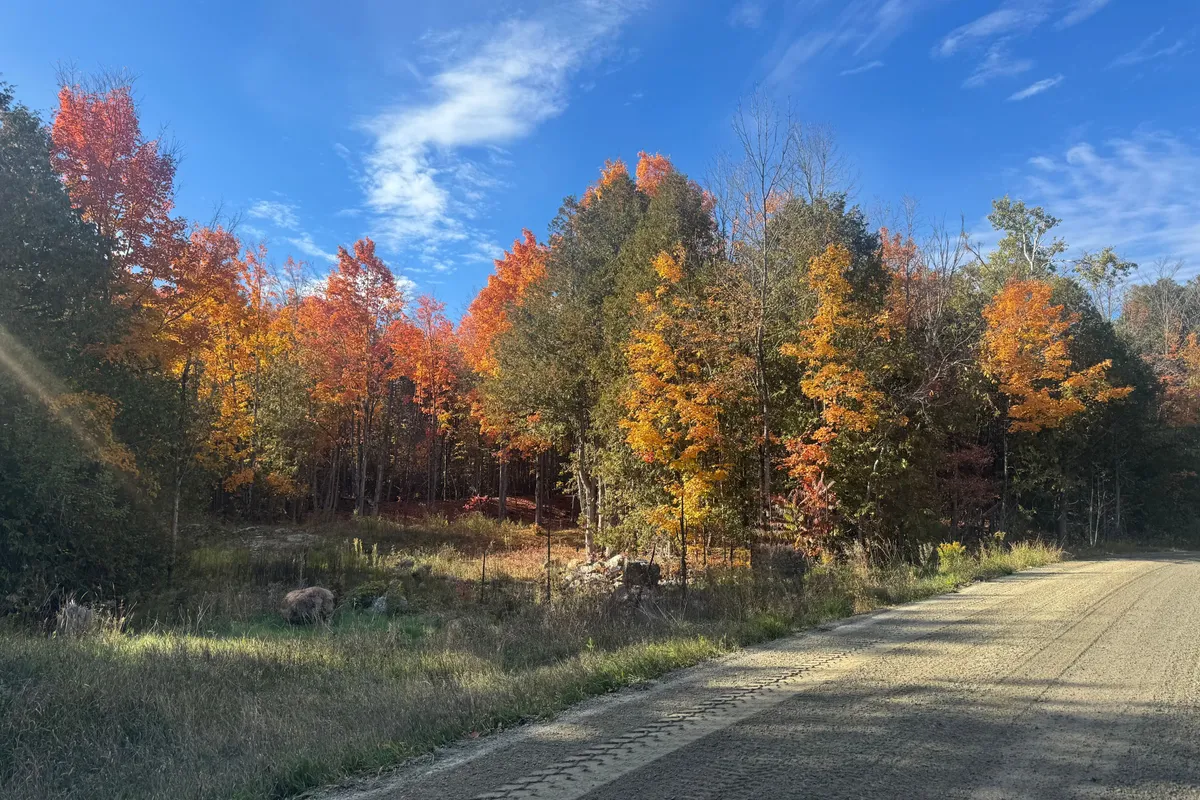 Lot 2 Vansickle Road, ON K0L 1C0