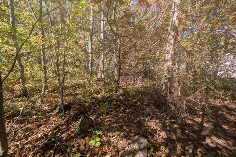 LT 166 Mallory Beach Road, ON N0H 2T0