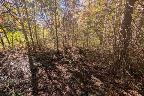 LT 166 Mallory Beach Road, ON N0H 2T0