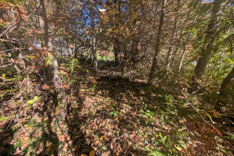 LT 166 Mallory Beach Road, ON N0H 2T0