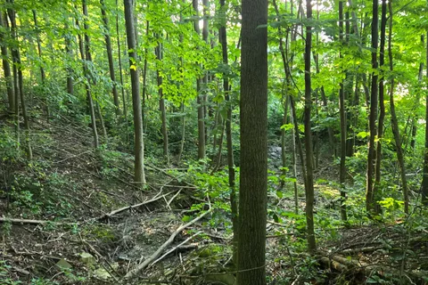 130 Old Highway 26 Highway, ON N4L 1W7