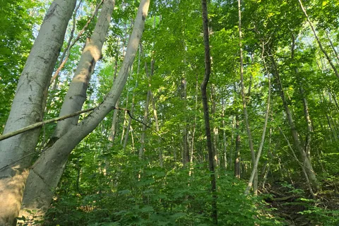 130 Old Highway 26 Highway, ON N4L 1W7