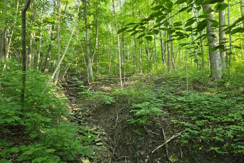 130 Old Highway 26 Highway, ON N4L 1W7