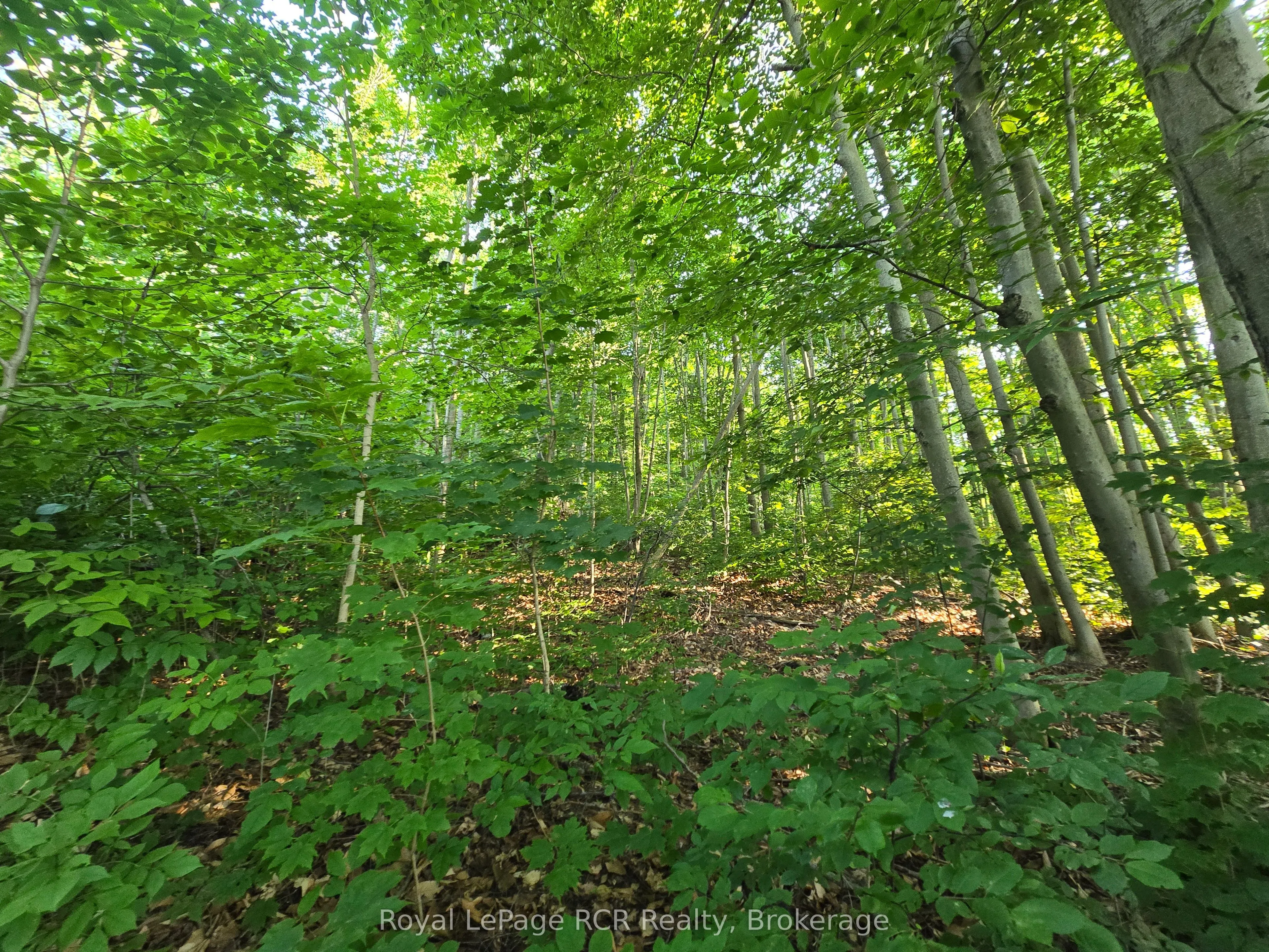 126 Old Highway 26 Highway, ON N4L 1W7