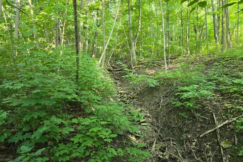 126 Old Highway 26 Highway, ON N4L 1W7