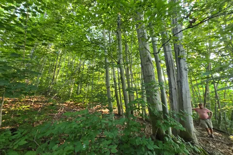 126 Old Highway 26 Highway, ON N4L 1W7